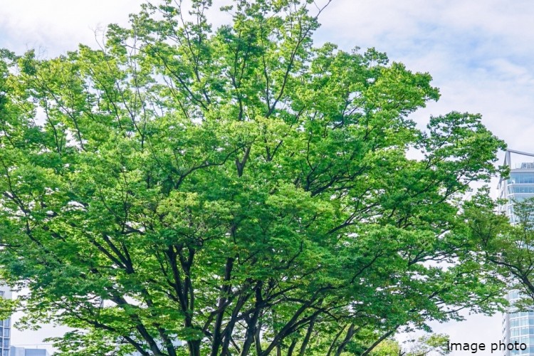 ガーデンヒルズ千里中央のコンセプトイメージ画像1