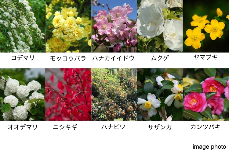 ガーデンヒルズ千里中央の植栽イメージ画像
